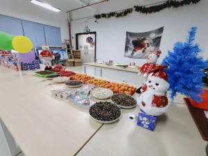 “多國風(fēng)采、別具風(fēng)格”的的圣誕節(jié)活動